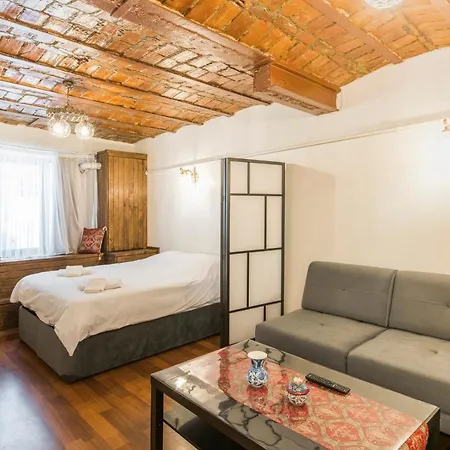 Beautiful 1 Bedroom Apt 400 Meter Taksim Square Apartment